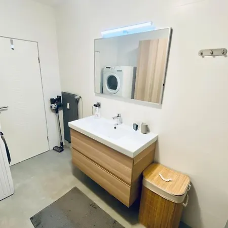 Large 1 Bedroom In Center With Parking - 64 Appartement *