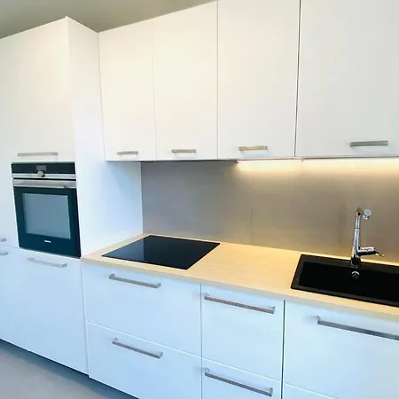 Large 1 Bedroom In Center With Parking - 64 公寓